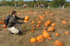10/7 - Maybe some pumpkin levitation will cheer you up. (Photo by Karla?)