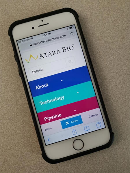 Atarabio.com running on iPhone.