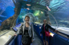 11/14 - We're underwater at the Aquarium!