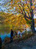 11/2 - Nice autumn walk at Rockefeller Estate.