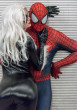 Spiderman & Black Cat