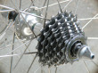 Bicycle Cog